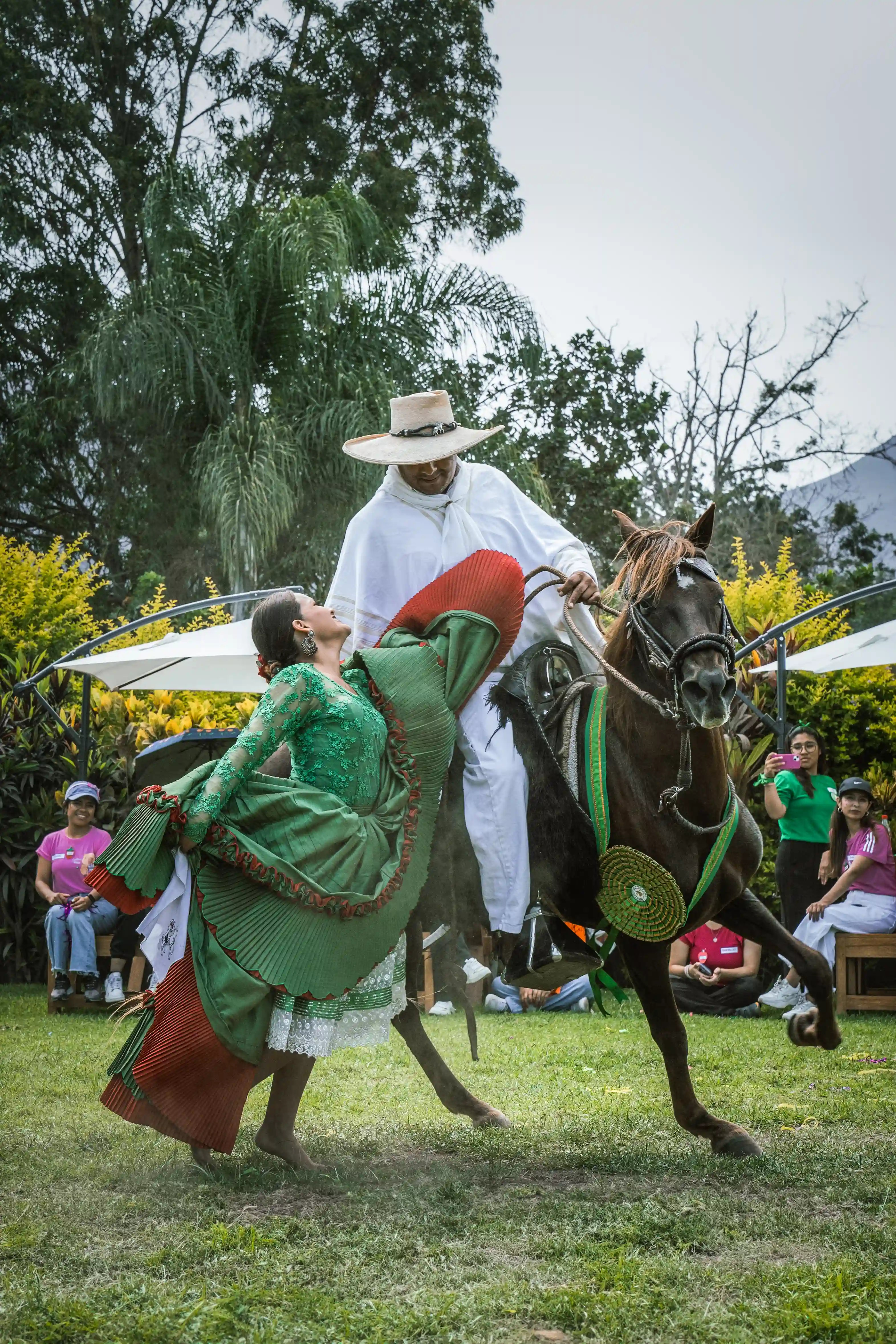 Caballo de Paso Peruano