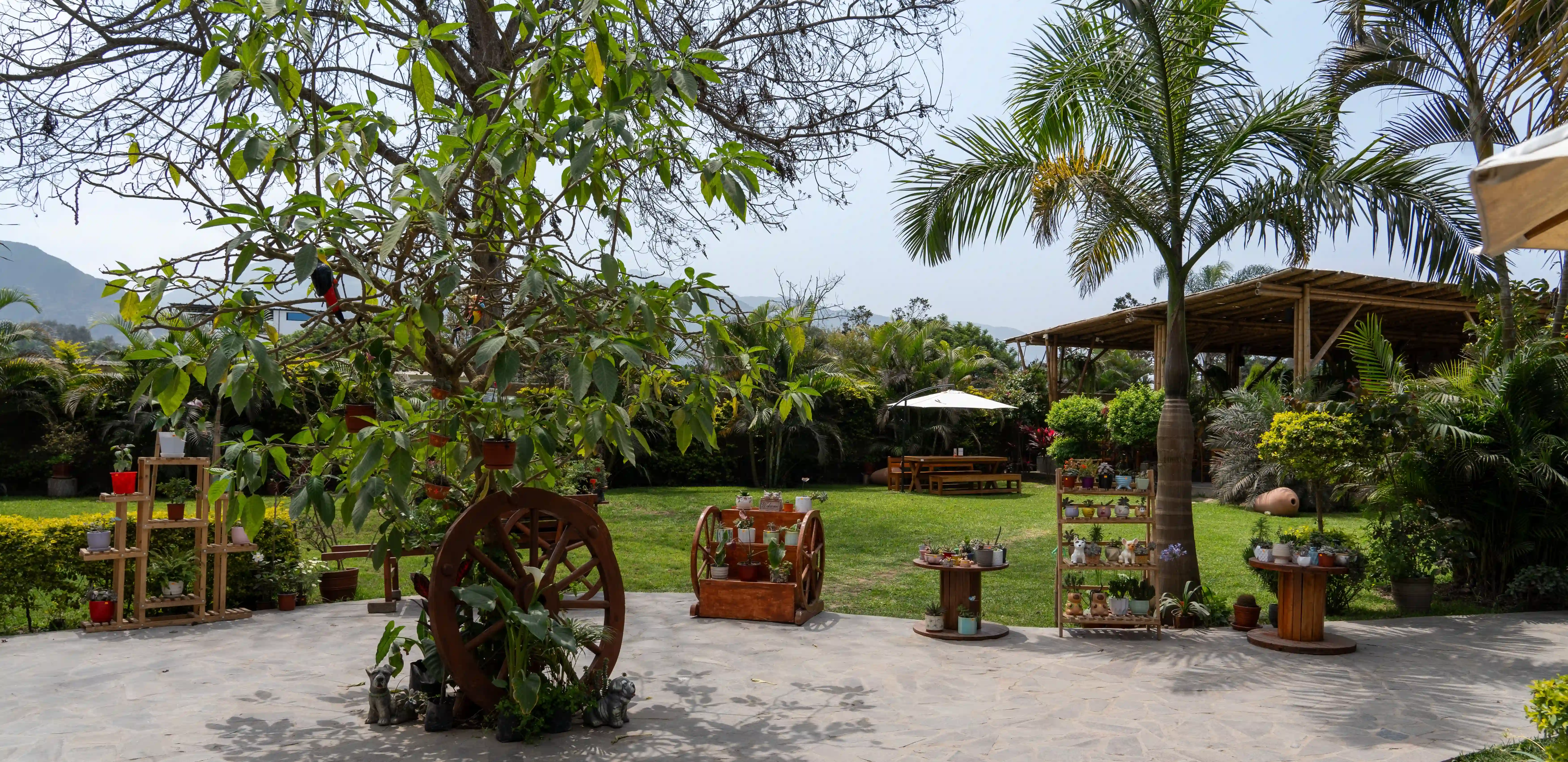 Parrilla a la leña encendida